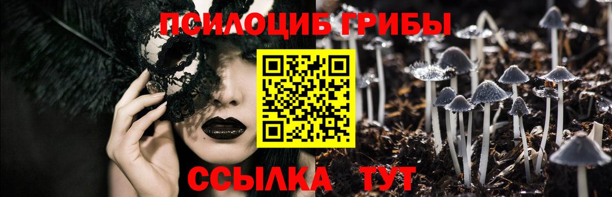 Галлюциногенные грибы мицелий Ржев